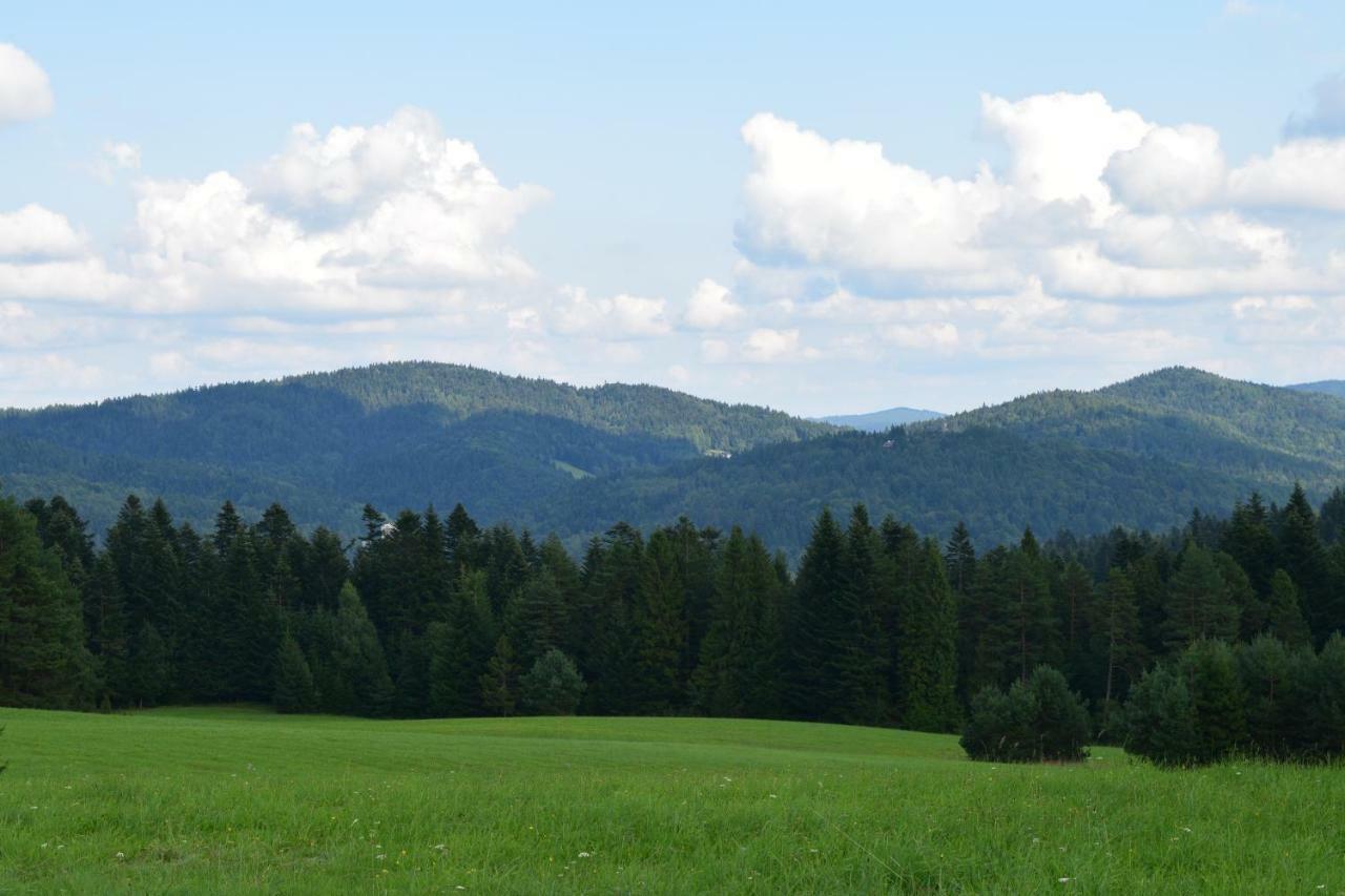 Forrest Apartment Krynica Dış mekan fotoğraf