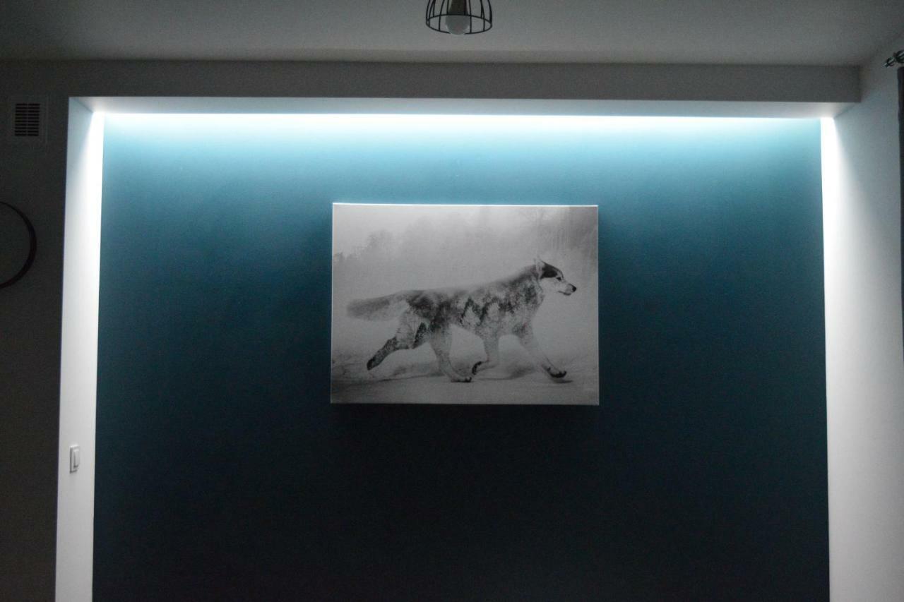 Forrest Apartment Krynica Dış mekan fotoğraf